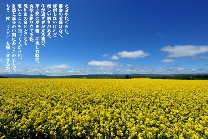菜の花畑