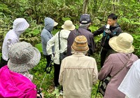 森林浴　山菜のお話