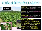 たばこは何でできているの？スライド