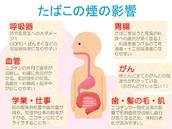 たばこの煙の影響スライド