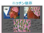 ニコチン依存スライド