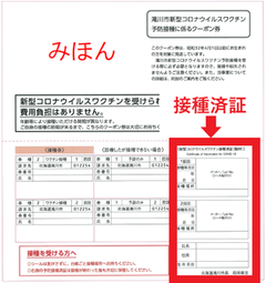 接種済証みほん画像