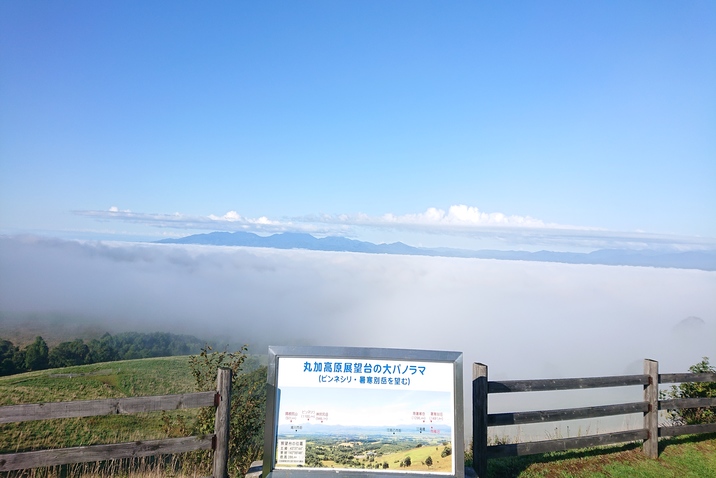 丸加高原展望台からの雲海