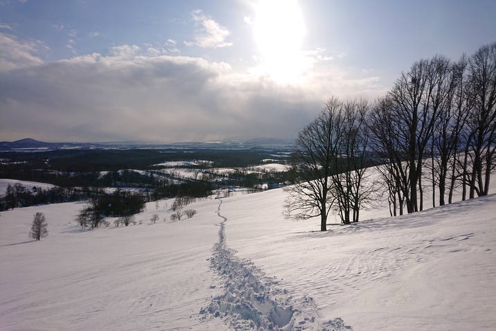 丸加高原冬景色