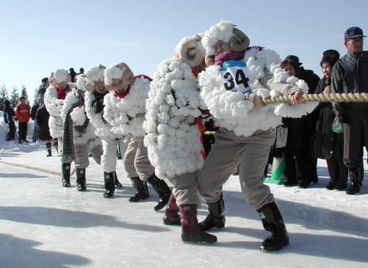 第７回　全道雪中綱引大会