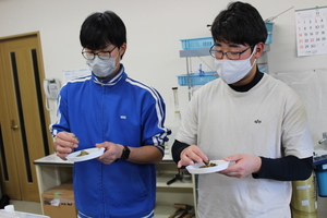 土壌診断研修の画像5