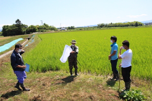 「水稲」生育調査集合研修（第3回目）の画像3