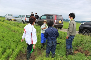 「水稲」生育調査集合研修（第2回目）の画像5
