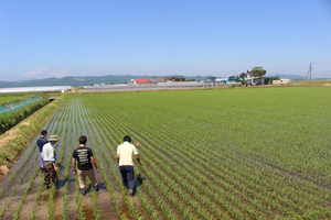 「水稲」生育調査集合研修（1）　令和3年6月17日の画像7