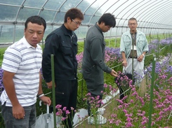 花・野菜技術センター視察研修の様子2