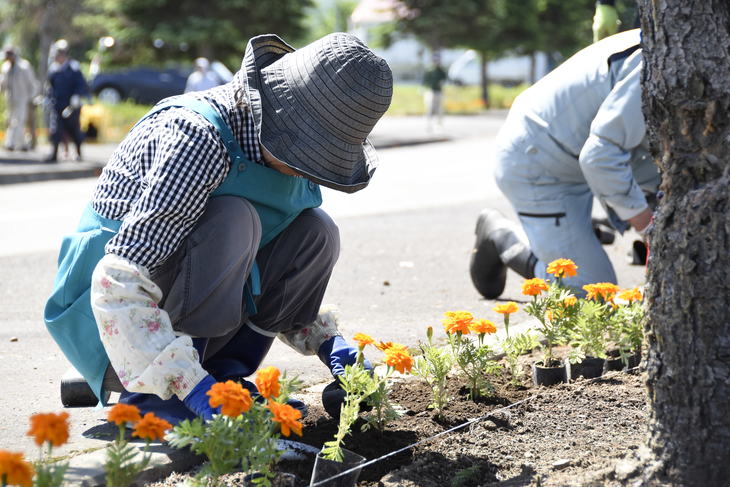 緑花樹の街路桝（がいろます）へ植栽イメージ