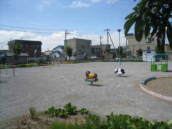 どんぐり公園の画像2