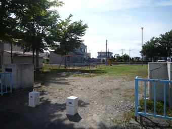 はるにれ公園の画像1