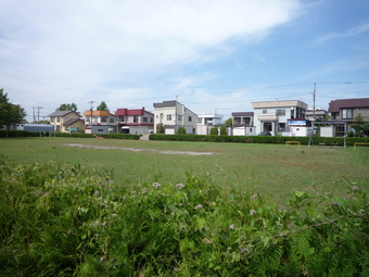 中島公園の画像2