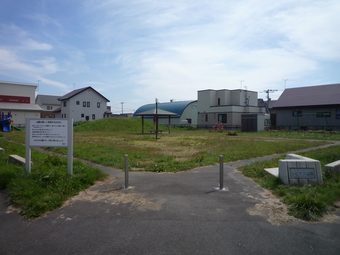 ルピナス公園の画像1