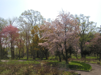 滝川公園１