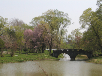 滝川公園２