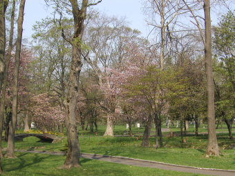 滝の川公園１