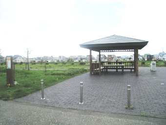 滝の川緑道1