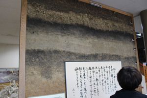 ステップアップ研修（土の博物館土の館視察）　令和5年10月25日の画像2