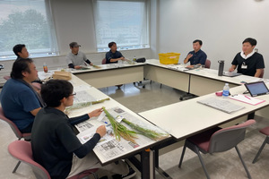 「水稲」生育調査集合研修（第5回目）　令和5年9月4日の画像5