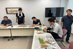 「水稲」生育調査集合研修（第5回目）　令和5年9月4日の画像7