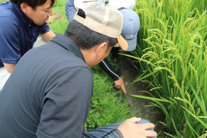 「水稲」生育調査集合研修（第4回目）　令和5年8月2日の画像4