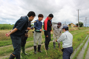 「水稲」生育調査集合研修の画像2