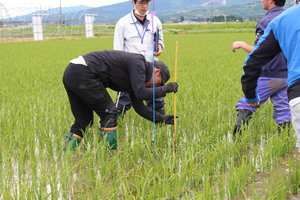 「水稲」生育調査集合研修の画像3