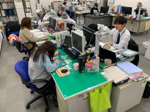 企画に係る資料作成など