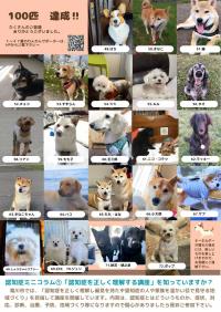 わんわんP情報誌NO＿2