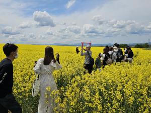 2025たきかわ菜の花まつり