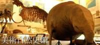 美術自然史館
