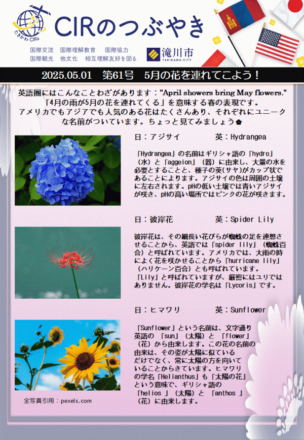 ５月の花を連れてこよう！